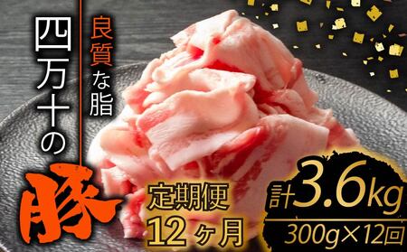 【定期便12回】高知県産 ブランドポーク 豚肉 切り落とし 計3.6kg（300g×12ヶ月連続お届け) Xコース | 肉 豚肉 国産豚肉 高知県産豚肉 豚肉 大容量 豚肉 しゃぶしゃぶ 豚肉 バラ肉 小分け 小間切れ スライス 切り落とし 冷凍 真空パック 簡単調理 細切れ 大容量 肉 高知県 須崎市 TM26000