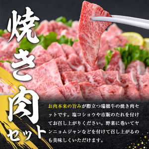 焼肉 セット 約1kg 瑞穂牛 牛肉 国産 【焼肉】【ho0903】