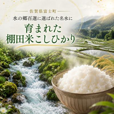 ふるさと納税 佐賀県 令和7年産【棚田米】こしひかり 白米 10kg(5kg×2袋)　41ANAD038(佐賀県) |  | 01