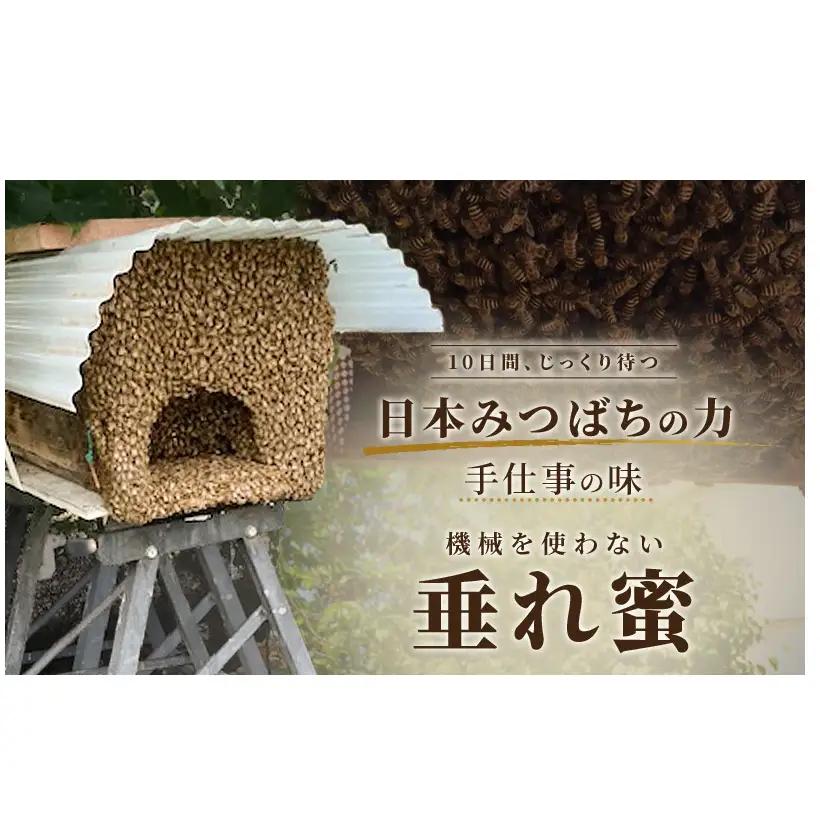 信州日本みつばち 和蜂蜜（300g）