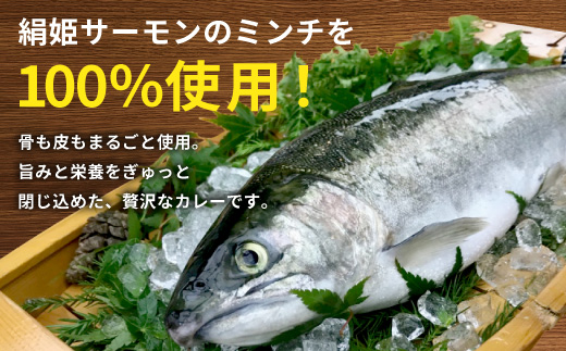 絹姫サーモン 奥三河おさかなキーマカレー ６個セット カレー ご当地カレー レトルトカレー 珍しいカレー 魚カレー 魚 サーモン サーモンカレー レトルトカレー インスタントカレー 鮭 常温 食品 非