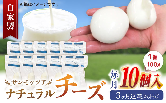 【全3回定期便】自家製ナチュラルチーズ サンモッツア 10個 ( 100g × 10個 ) 熊本 山都町【山の未来舎】[YBV017]