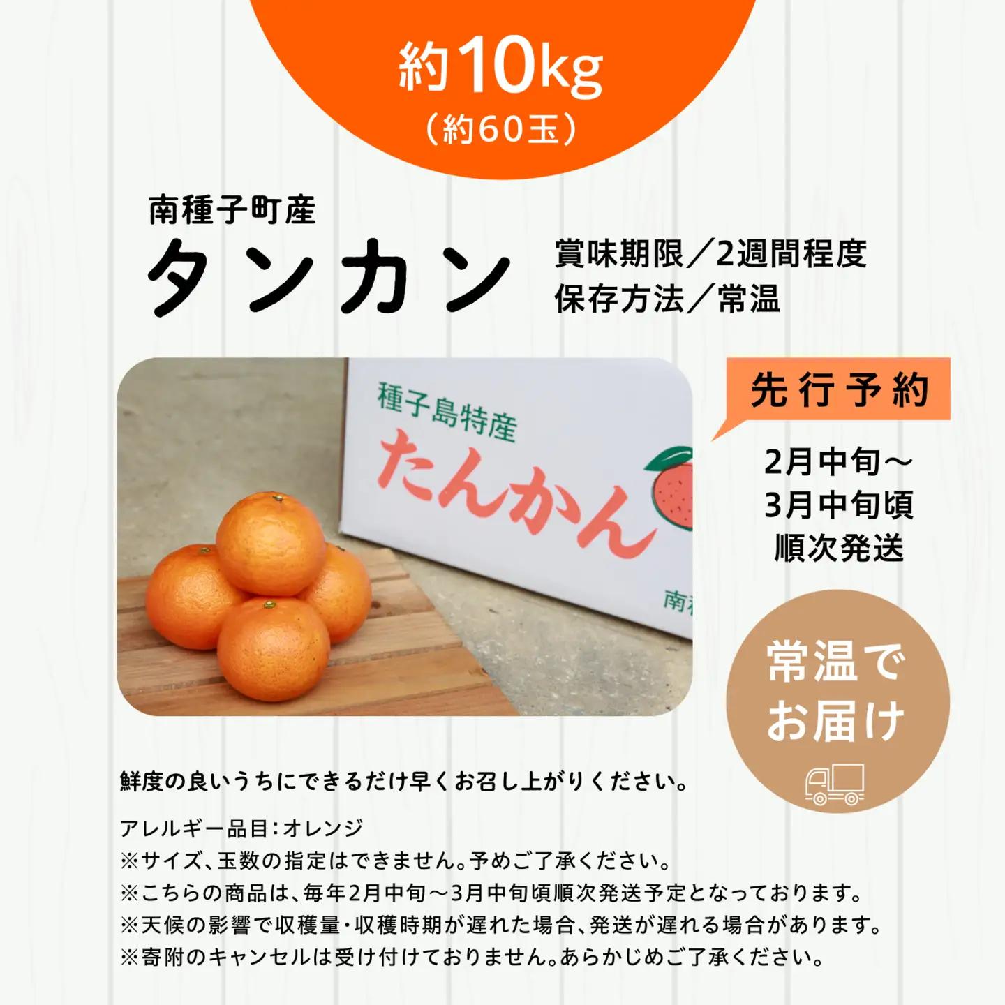 《 先行予約 》種子島産 タンカン 約10kg （約60玉）【2月中旬～3月中旬頃順次発送】【南種子町果樹部会】