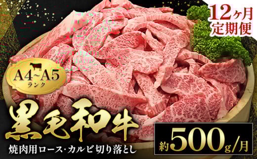 黒毛和牛 焼肉 ロース カルビ 切り落とし 500g A4 ～ A5 ランク 12ヶ月定期便 《お申し込み月の翌月から出荷開始(土日祝除く)》 ランプ ミスジ イチボ 特上 ミシュラン 国産 肉 牛肉 黒牛 天草 苓北 熊本 産地直送 送料無料