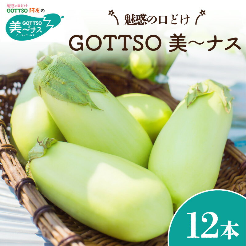 【ふるさと納税】 野菜 夏野菜 なすび 茄子 美からナス 12本 白ナス 翡翠茄子 朝どれ 産地直送 グラタン 浅漬 押し寿司 徳島県 阿波市