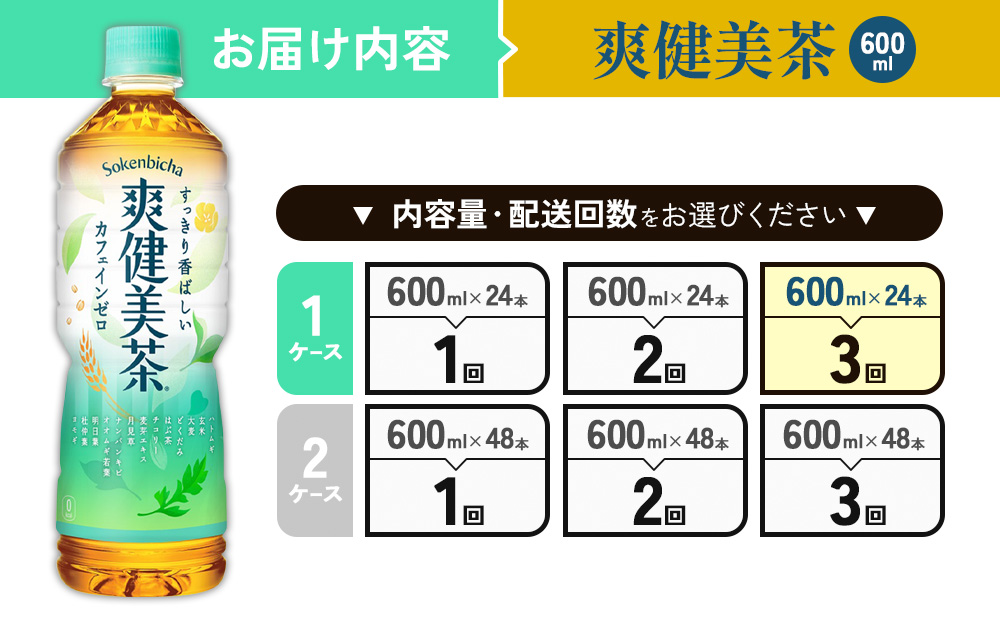 （3回定期便）爽健美茶 600ml PET【コカ・コーラ】ペットボトル 1ケース(24本) 定期便 3回(72本) セット お茶 カフェインゼロ ノンカフェイン ハトムギ ブレンド茶 宮崎県 えびの市 送料無料