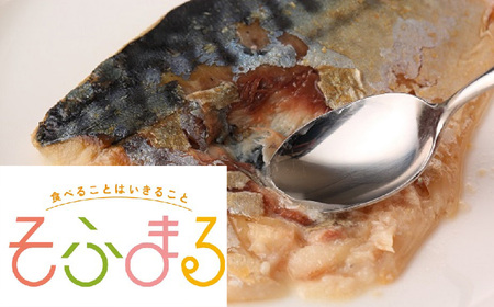 M-C15.【そふまるやわらか食】お魚セット(10点入)