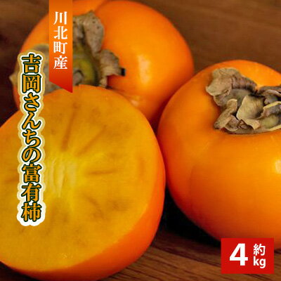 【ふるさと納税】【川北町産】吉岡さんちの富有柿　約4kg 果物 フルーツ 果実 デザート おやつ 国産 日本産 食品 食べ物 甘柿 サクサク 食感 歯ごたえ 石川県産 直送 産地直送 秋の味覚 　お届け：2026年11月上旬から2026年11月下旬まで