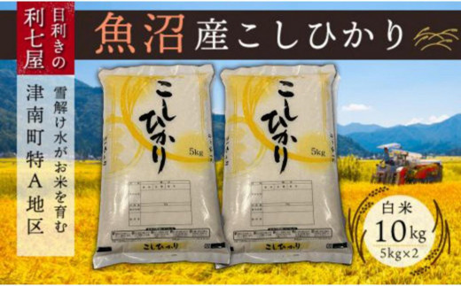 【令和8年産先行予約】 【魚沼産コシヒカリ 白米 10kg（5kg×2袋）】 雪解け水がお米を育む、津南町特A地区の美味しいお米。| 新潟産コシヒカリ 新潟県産コシヒカリ 魚沼産こしひかり 米 お米 こしひかり 白米 精米 ブランド米 新潟県 津南町 中島利七