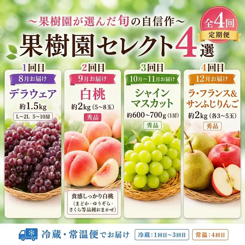 【定期便4回】果樹園セレクト４選 果樹園が選んだ、旬の自信作 FY26-183