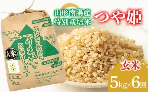 
                  【金賞受賞農家】 《定期便6回》 令和7年産 特別栽培米 つや姫 (玄米) 5kg×6か月 『あおきライスファーム』 山形南陽産 米 玄米 ご飯 農家直送 山形県 南陽市 [2629]
                