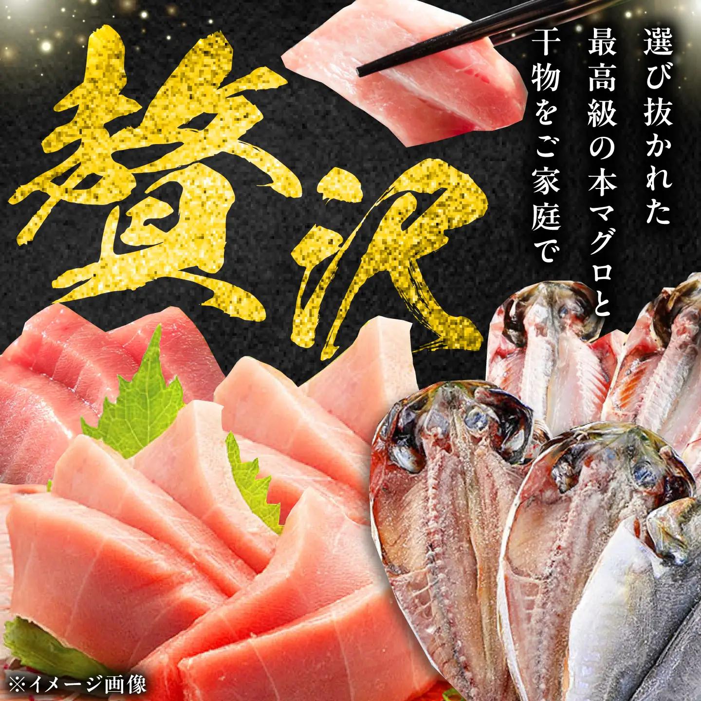 【全12回定期便】対馬産 本マグロ 中トロ 300g & 旬の干物 2種   [WAH011] マグロ まぐろ 本マグロ トロ 刺身 干物 
