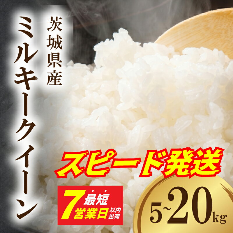 【ふるさと納税】 スピード発送 令和7年産 ミルキークイーン 精米 茨城県産 5kg 10kg 15kg 20kg 選べる容量 最短7営業日発送 米 お米 ご飯 ごはん コメ 白米 ライス みるきーくいーん 銘柄米 茨城県 新生活 応援 kome okome 茨城県産 国産 産地直送 ※ 関東 茨城 筑西