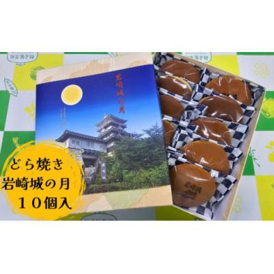 ふるさと納税 日進市 どら焼き 岩崎城の月 10個入