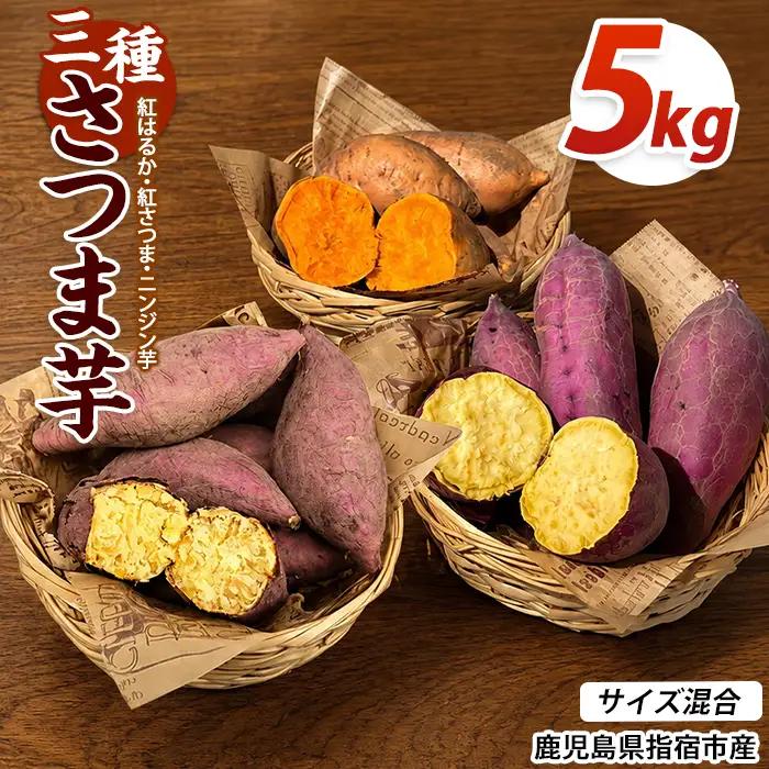 【2026年10月上旬～順次発送】＜訳あり＞鹿児島県産 さつまいも 3種詰め合わせ 約5kg (アグリファースト/IB162-001)
