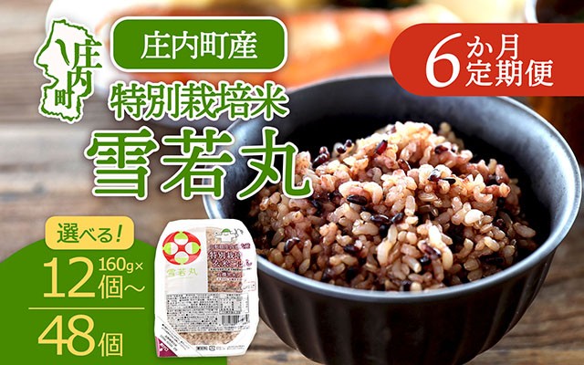 
                  【6か月定期便】雪若丸 玄米パックごはん 160g×12個 / 24個 / 48個 選べる内容量 配送開始月 有機黒米入 健康 ダイエット 備蓄 保存食 防災 簡単レンジ 温めるだけ 湯煎調理【毎月中旬発送】
                