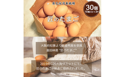 
匠のたまご30個入り(10個入り×3P)辰巳悦司養鶏場　G20大阪サミット朝食に使用された卵【1292602】
