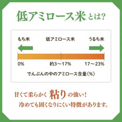 ふるさと納税 大子町 立神米 姫ごのみ【5kg・白米・大子町産】令和7年産 新米 谷田部農産|茨城県 大子町 大子産米 |  | 01