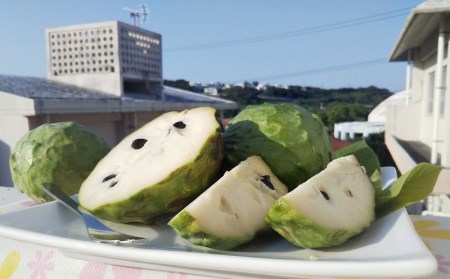 【先行受付】森のアイスクリーム アテモヤ 1kg (沖縄県八重瀬町産) - 産地直送 南国フルーツ 旬の味覚