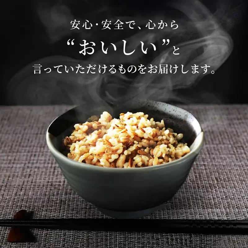 【定期便2回】やまがた雑穀玄米パックごはん 150g×9個 (つや姫・スーパー大麦・もち麦 3種ブレンド) ラベルレス 訳あり 山形 パックライス 備蓄 保存 パックライス FZ25-175