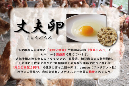 AQ005　高橋ファームの丈夫卵12個+紅カブトエビ玄米2kg　　国産　こだわり　健康卵