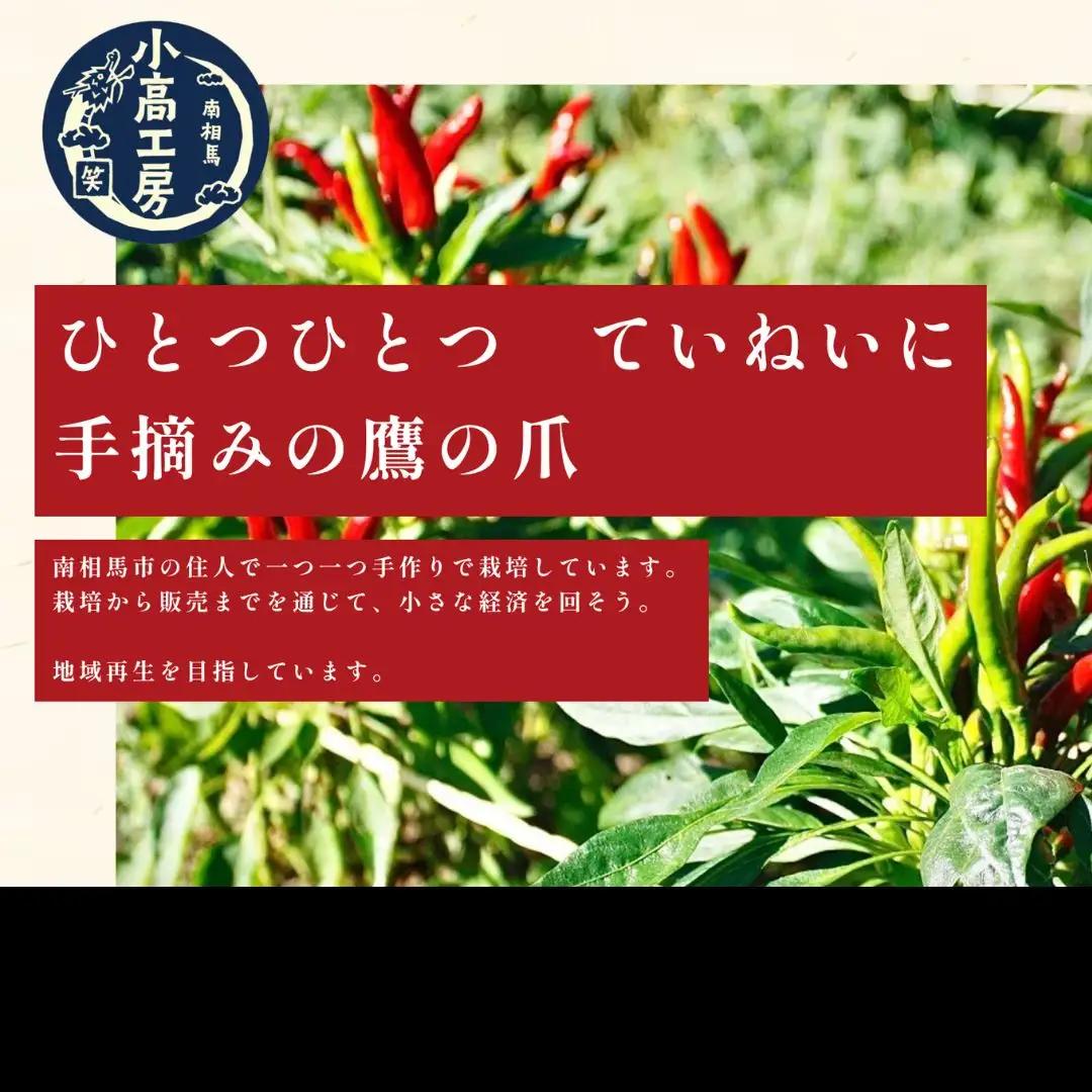 【訳アリ 箱無】小高ビーフカレー(大辛) 15パック | レトルトカレー 小高工房 非常食 福島県 南相馬市