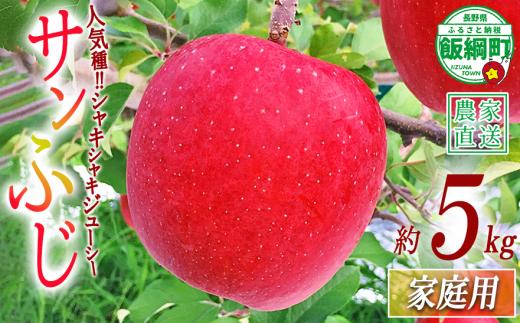 りんご サンふじ 家庭用 5kg 中村ファーム 沖縄県への配送不可 2026年11月下旬頃から2026年3月上旬頃まで順次発送予定 令和8年度収穫分 長野県 飯綱町 [0862]