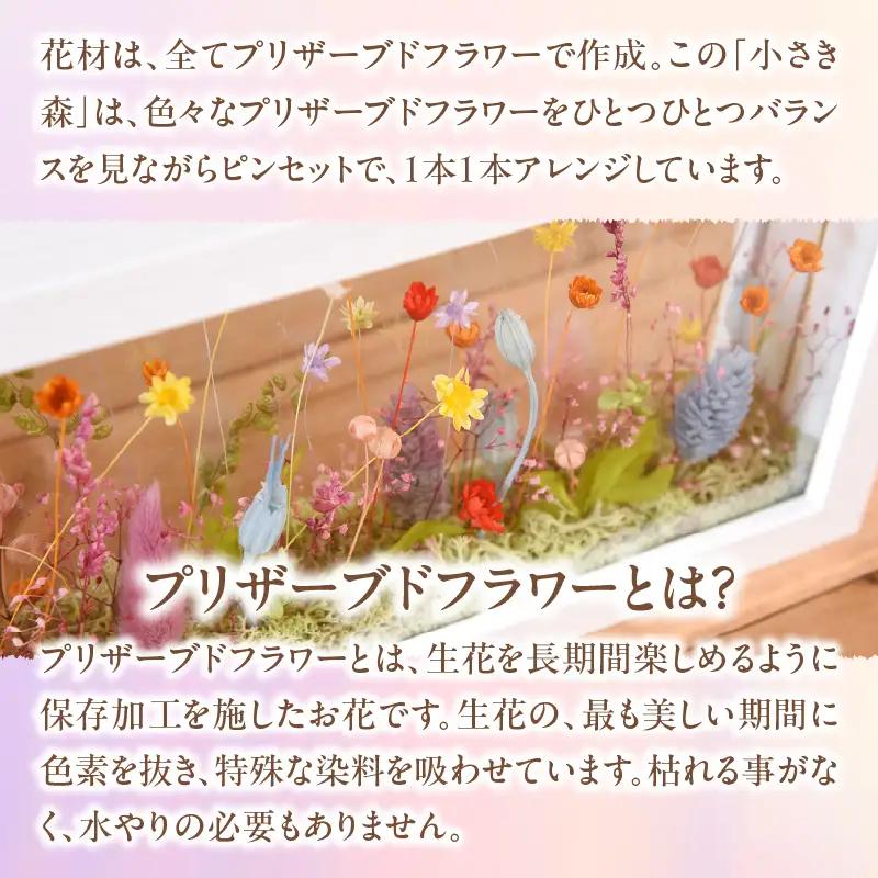 小さき森 窓(Mサイズ) 1個