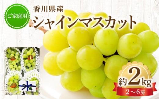 ご家庭用シャインマスカット 約 2kg ぶどう 【2024-8月下旬～2024-9月下旬配送】