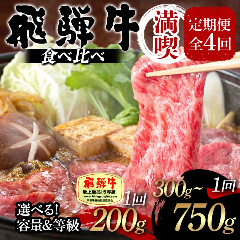 【ふるさと納税】＼選べる種類と容量／飛騨牛 定期便 全4回 食べ比べ (A5等級 200g 満喫 300g～400g 満喫 500g～750g) F4N-1694var