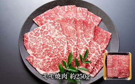 博多和牛の部位別焼肉食べ比べセット 450g（モモ焼肉250g＋ザブトン（肩ロース）焼肉200g） 牛 博多牛 モモ 肩ロース 食べ比べセット
