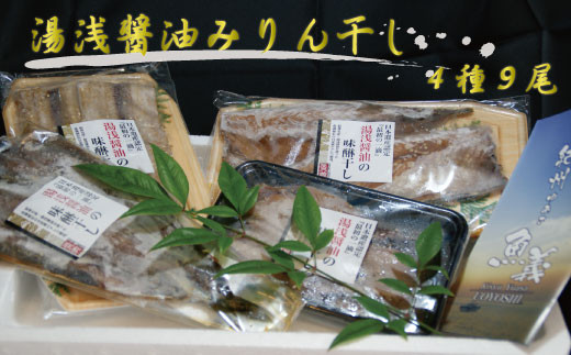 
和歌山の近海でとれた新鮮魚の湯浅醤油みりん干し4品種9尾入りの詰め合わせ
