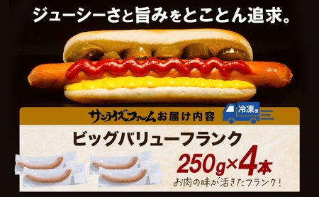 BIGバリューフランク 4本セット 25cm 豚肉 フランクフルト ウィンナー ビッグサイズ 大きい 肉厚 ジューシー 夕食 ご飯 おかず おつまみ バーベキュー BBQ 送料無料 日本ふるさと創生株