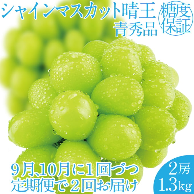 
            2025年 先行予約受付中【2回定期便】シャインマスカット晴王2房 約1.3kg 岡山県産 種無し 皮ごと食べる みずみずしい 甘い フレッシュ 瀬戸内 晴れの国 おかやま 果物大国 ハレノフルーツ [№5735-2166]
          