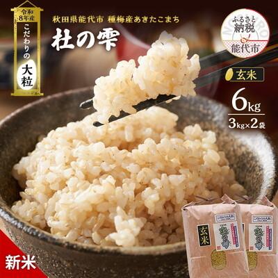 ふるさと納税 能代市 新米 令和8年産 玄米 秋田県産 あきたこまち 6kg(3kg×2)[No.5409-0045]