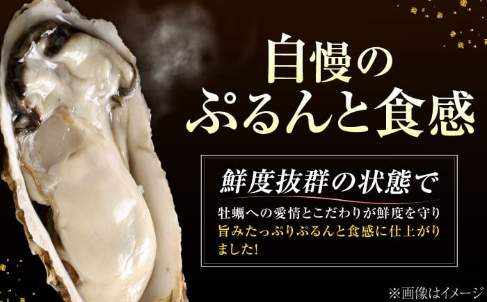 牡蠣 むき身 殻付き かき カキ 生牡蠣 広島牡蠣 オイスター