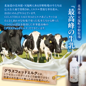 パティシエ　セレクション　ジェラート12個セット