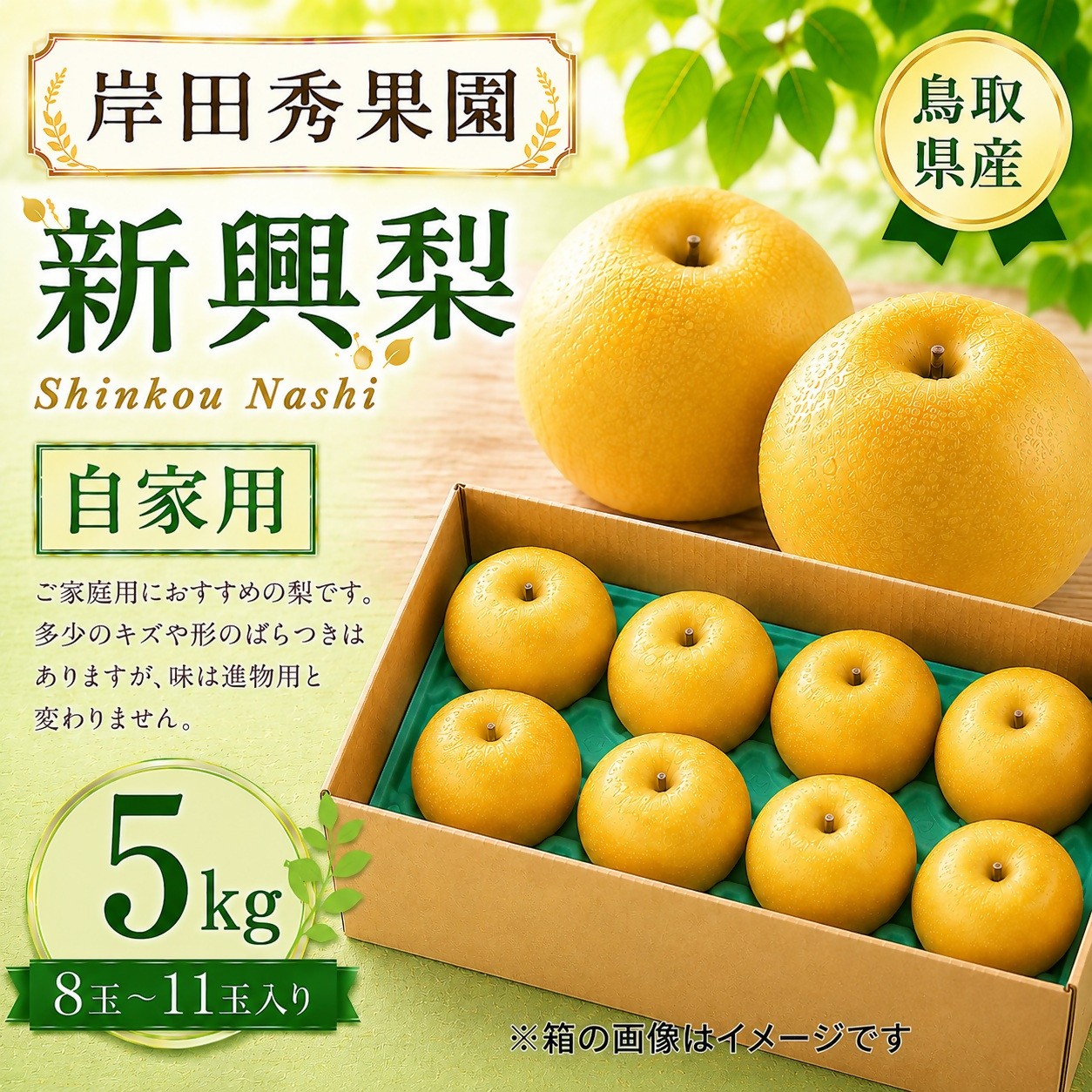 
                  【受付中】岸田秀果園 新興 自家用5㎏
                