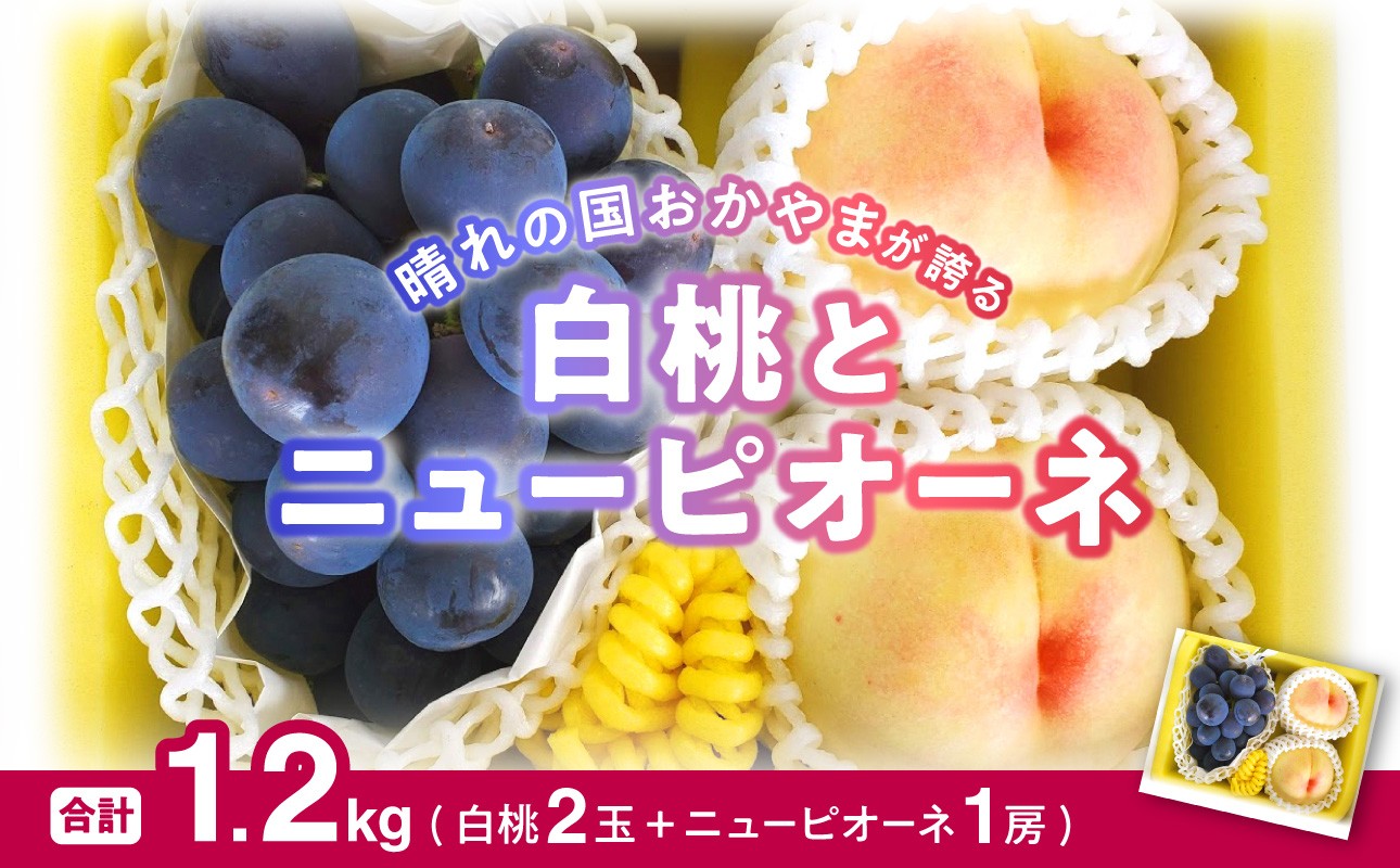 
                  岡山県産 白桃とニューピオーネのセット【白桃 ニューピオーネ セット 詰合せ フルーツ 果物 くだもの もも 桃 モモ 葡萄 ぶどう ブドウ 岡山県産 先行受付 先行予約】
                