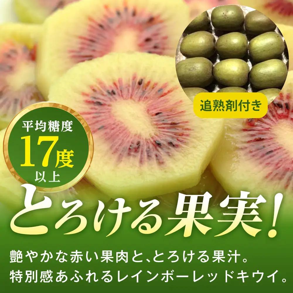 キウイフルーツ（レインボーレッド2kg）と追熟剤セット キウイ