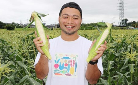 66-26下妻産朝採りとうもろこし約6kg（クリスピーホワイト・15本入り）【先行予約：2024年7月上旬～7月中旬ころ順次発送予定】