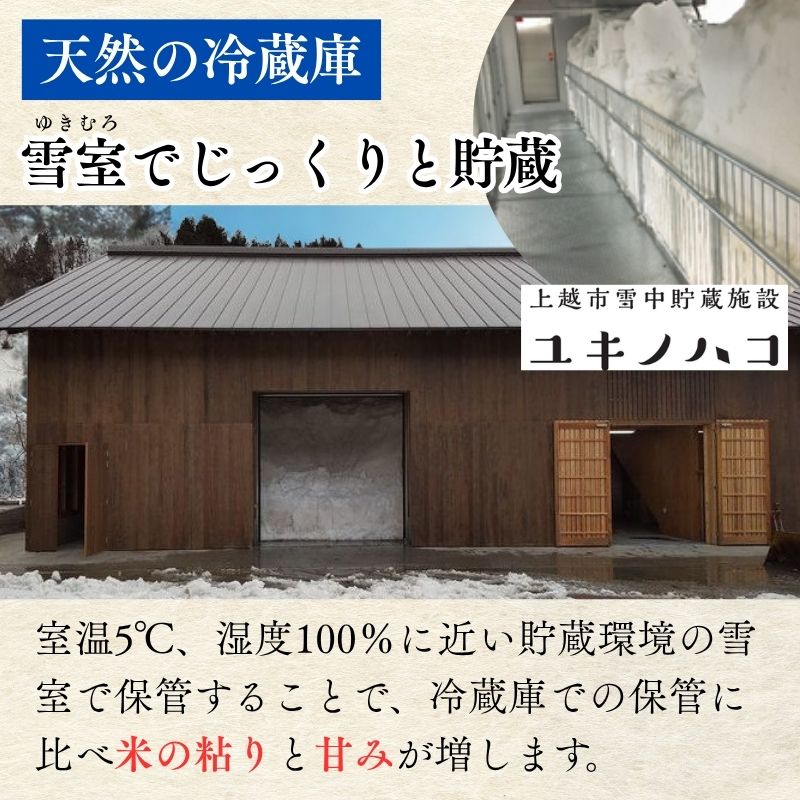 令和7年産 新潟県上越産米 にじのきらめき 5kg 雪中貯蔵米 