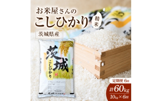 ＜毎月定期便＞お米屋さんのコシヒカリ 精米 10kg(5kg×2)  全6回【4094331】