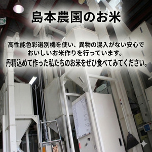 【配送時期が選べる】米 コシヒカリ 20kg 小松島市 令和7年産 精米 白米 お米