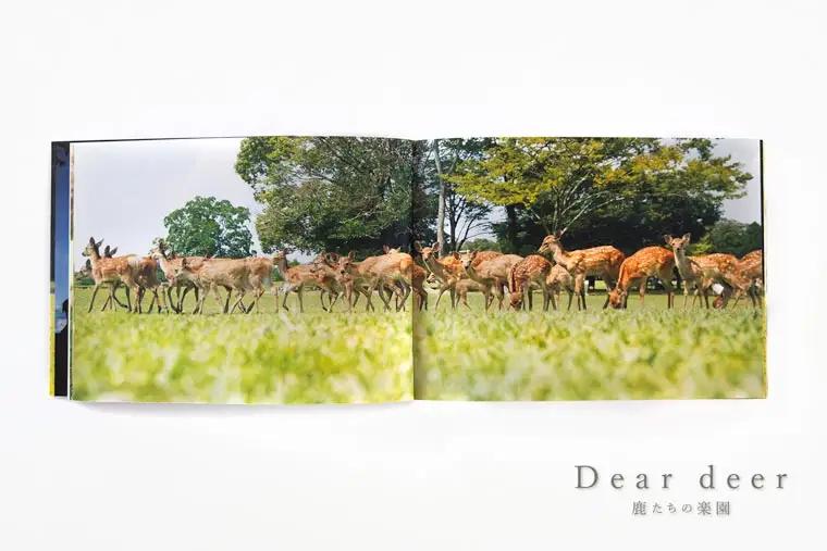 奈良の鹿 写真集「Dear deer 鹿たちの楽園」（KAZUTO PHOTO OFFICE 佐藤和斗） J-63