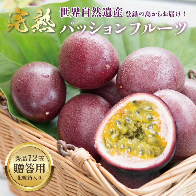 【ふるさと納税】【2025先行予約】 奄美大島産 パッションフルーツ 1kg 12玉 贈答用 化粧箱入り 秀品 パッション フルーツ 果物 トロピカル 南国 甘い 甘味 酸味 追熟 デザート フラスコ ふるさと納税 鹿児島 奄美市 おすすめ ランキング プレゼント ギフト