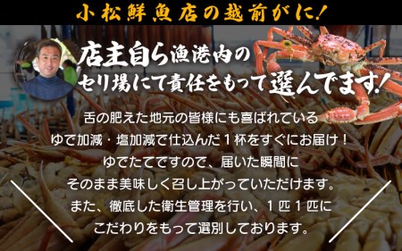 【訳あり】越前がに本場の越前町からお届け！足折れ 越前がに 浜茹で 大サイズ（生で0.9～1kg） × 1杯【11月発送分】【かに カニ 蟹】【福井県 越前町 雄 ズワイガニ ボイル 冷蔵 越前ガニ 