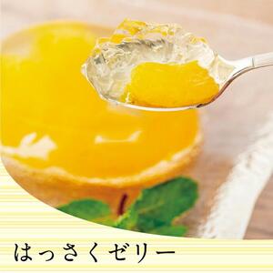因島のはっさくゼリー72個入り ゼリー