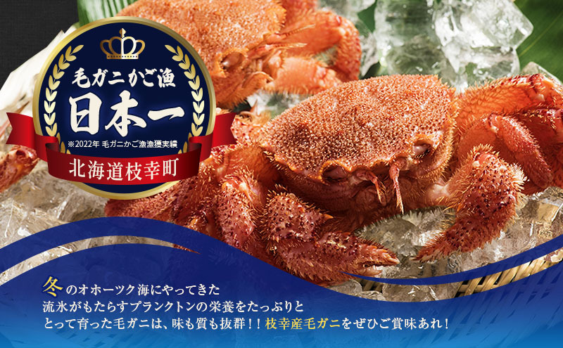 オホーツク産 北隆丸 冷凍ボイル 毛ガニ 約360g×2尾【 カニ かに 蟹 毛ガニ 毛蟹 冷凍 魚貝 魚介 海鮮 北海道 オホーツク 枝幸 】