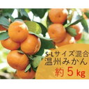 【ふるさと納税】【2025年12月以降発送】温州みかん　約5kg　S-Lサイズ混合　まつもと農園の和歌山県産みかん【1489599】